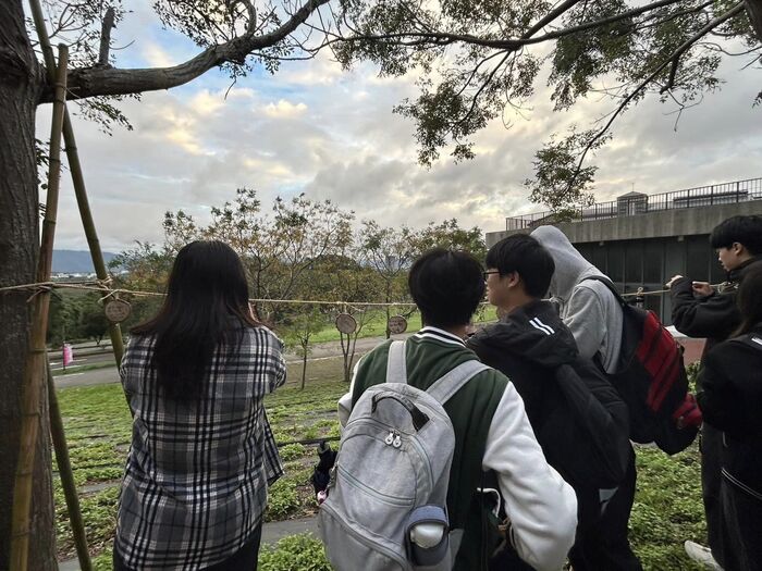 1131127聯大客家樟之細路故事圖片