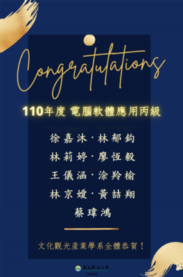 110年度電腦軟體丙檢通過