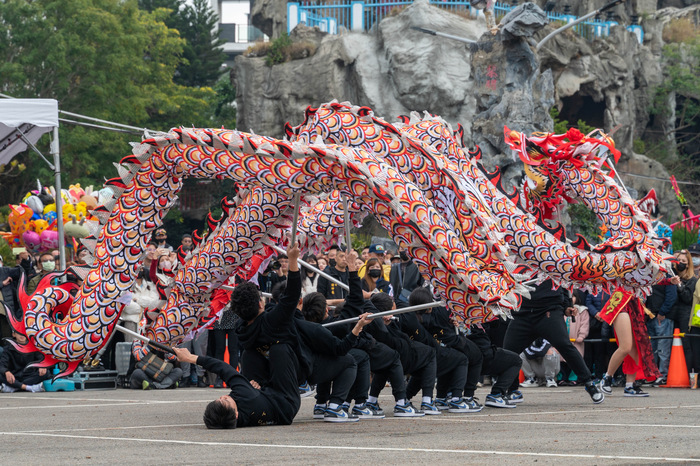 【教學亮點】文化傳承　2025「聯大文觀舞龍隊」成長與分享圖片